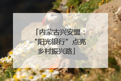 内蒙古兴安盟：“阳光银行”点亮乡村振兴路