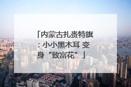 内蒙古扎赉特旗：小小黑木耳 变身“致富花”