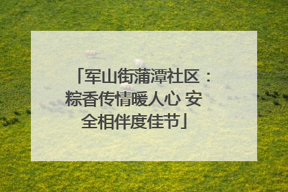 军山街蒲潭社区：粽香传情暖人心 安全相伴度佳节