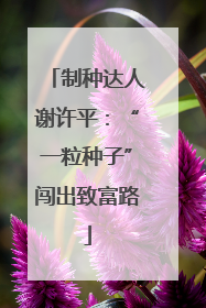 制种达人谢许平：“一粒种子”闯出致富路
