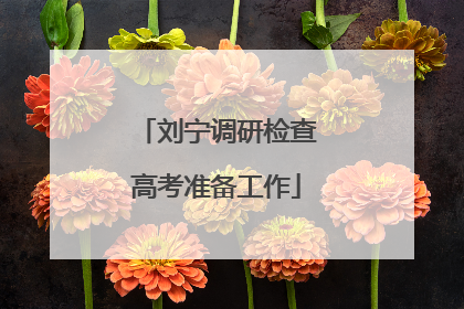 刘宁调研检查高考准备工作