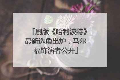 剧版《哈利波特》最新选角出炉，马尔福饰演者公开