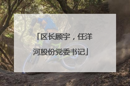 区长顾宇，任洋河股份党委书记