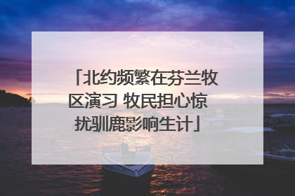 北约频繁在芬兰牧区演习 牧民担心惊扰驯鹿影响生计