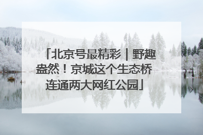北京号最精彩｜野趣盎然！京城这个生态桥连通两大网红公园