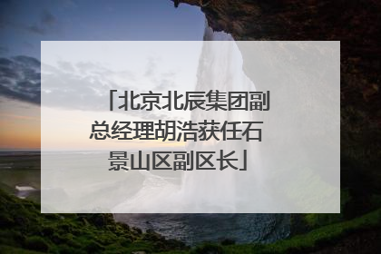 北京北辰集团副总经理胡浩获任石景山区副区长