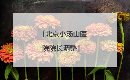 北京小汤山医院院长调整