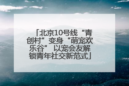 北京10号线“青创村”变身“萌宠欢乐谷” 以宠会友解锁青年社交新范式