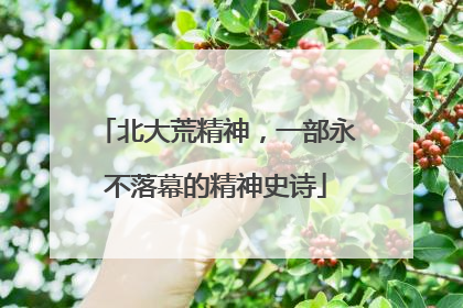 北大荒精神，一部永不落幕的精神史诗