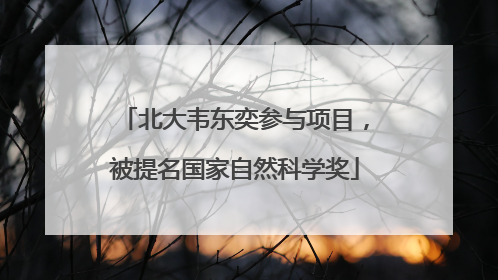 北大韦东奕参与项目，被提名国家自然科学奖