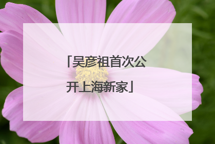 吴彦祖首次公开上海新家