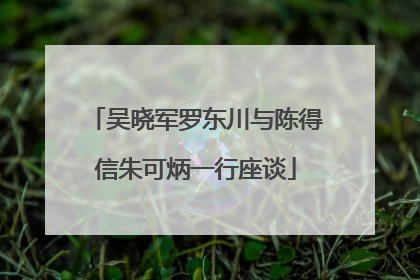 吴晓军罗东川与陈得信朱可炳一行座谈