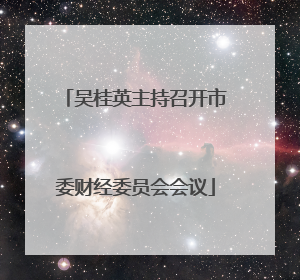 吴桂英主持召开市委财经委员会会议