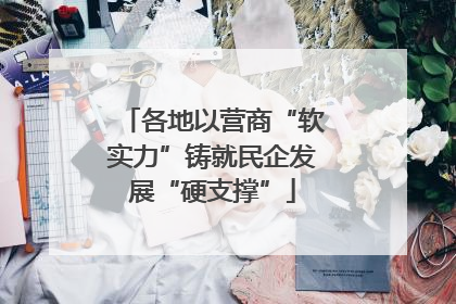 各地以营商“软实力”铸就民企发展“硬支撑”