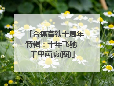 合福高铁十周年特辑：十年飞驰 千里画廊(图)