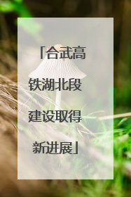 合武高铁湖北段建设取得新进展