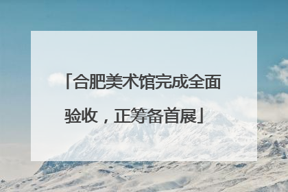 合肥美术馆完成全面验收，正筹备首展