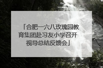 合肥一六八玫瑰园教育集团赴习友小学召开视导总结反馈会