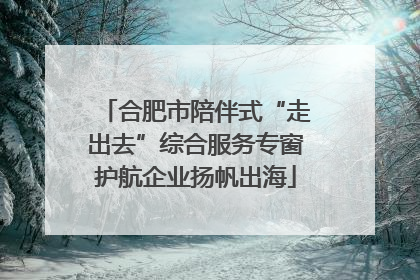 合肥市陪伴式“走出去”综合服务专窗护航企业扬帆出海