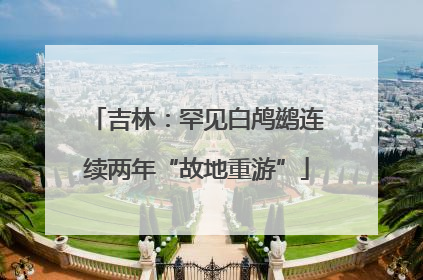 吉林：罕见白鸬鹚连续两年“故地重游”