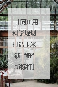 同江用科学规划打造玉米锁“鲜”新标杆