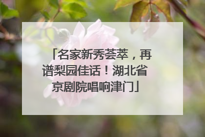 名家新秀荟萃，再谱梨园佳话！湖北省京剧院唱响津门