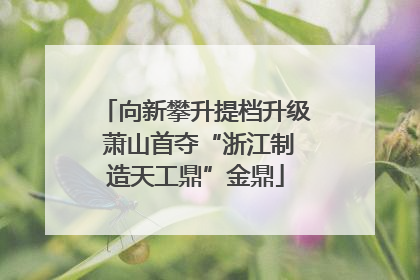 向新攀升提档升级 萧山首夺“浙江制造天工鼎”金鼎
