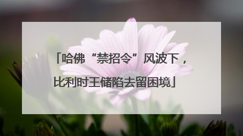 哈佛“禁招令”风波下，比利时王储陷去留困境