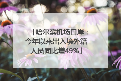哈尔滨机场口岸：今年以来出入境外籍人员同比增49%