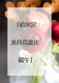 哈尔滨：龙舟竞渡庆端午