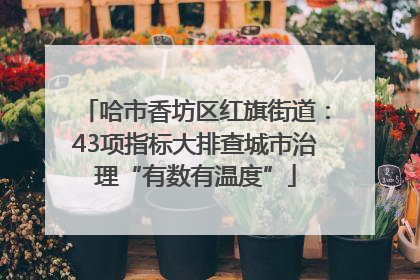 哈市香坊区红旗街道：43项指标大排查城市治理“有数有温度”