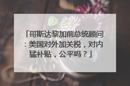 哥斯达黎加前总统顾问：美国对外加关税，对内猛补贴，公平吗？