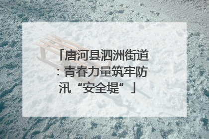 唐河县泗洲街道：青春力量筑牢防汛“安全堤”
