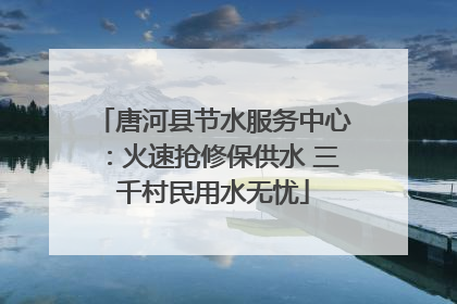 唐河县节水服务中心：火速抢修保供水 三千村民用水无忧