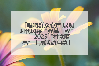 唱响群众心声 展现时代风采“强基工程”——2025“村歌嘹亮”主题活动启幕