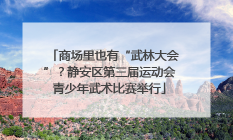 商场里也有“武林大会”？静安区第三届运动会青少年武术比赛举行