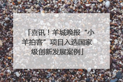 喜讯！羊城晚报“小羊拍客”项目入选国家级创新发展案例