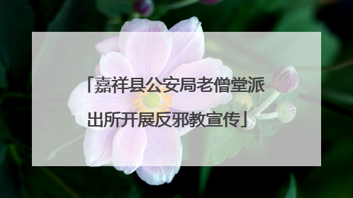 嘉祥县公安局老僧堂派出所开展反邪教宣传