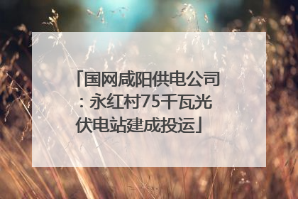 国网咸阳供电公司：永红村75千瓦光伏电站建成投运