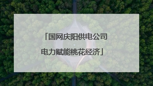 国网庆阳供电公司电力赋能桃花经济