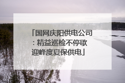 国网庆阳供电公司：精益巡检不停歇 迎峰度夏保供电
