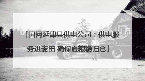 国网延津县供电公司：供电服务进麦田 确保夏粮稳归仓