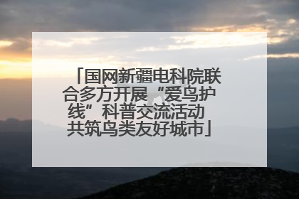 国网新疆电科院联合多方开展“爱鸟护线”科普交流活动 共筑鸟类友好城市