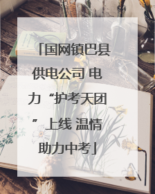国网镇巴县供电公司 电力“护考天团”上线 温情助力中考