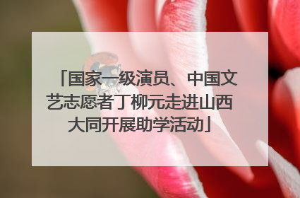 国家一级演员、中国文艺志愿者丁柳元走进山西大同开展助学活动