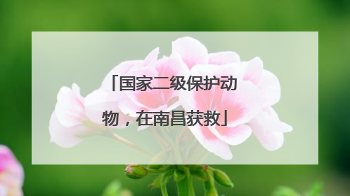 国家二级保护动物，在南昌获救
