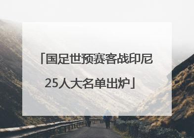 国足世预赛客战印尼25人大名单出炉