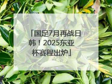 国足7月再战日韩！2025东亚杯赛程出炉