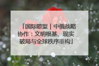 国际瞭望｜中俄战略协作：文明根基、现实破局与全球秩序重构
