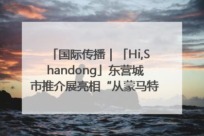 国际传播｜「Hi,Shandong」东营城市推介展亮相“从蒙马特到加里波第”文化节